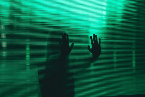 Decoding the Dear David Viral Ghost Story: From Internet to Short Film